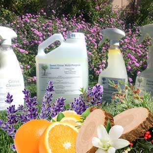 DIY Natural Multi-Purpose Cleaner