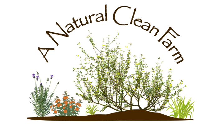 A Natural Cleaning Company