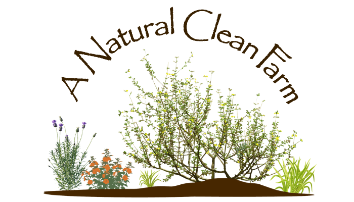 A Natural Cleaning Company